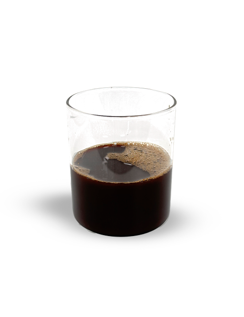 EXTRACTO DE JENGIBRE HIDRO